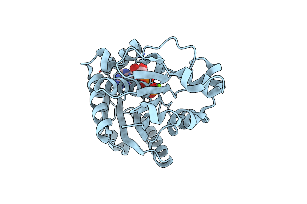 1G3Q image
