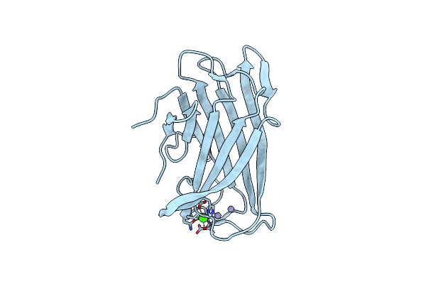 1G43 image