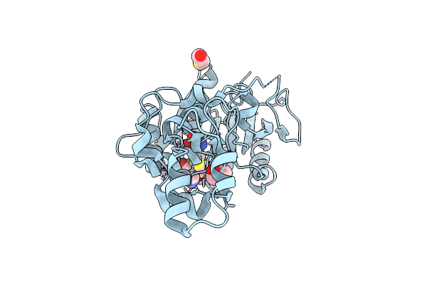 1G55 image