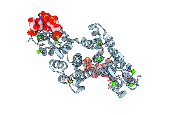 1G5N image