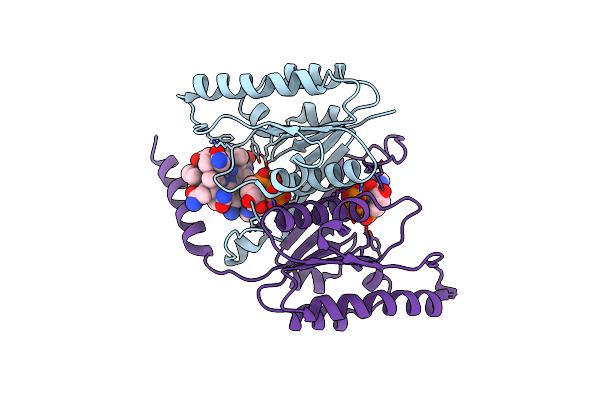 1G64 image