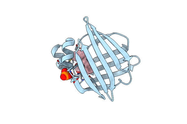 1G74 image