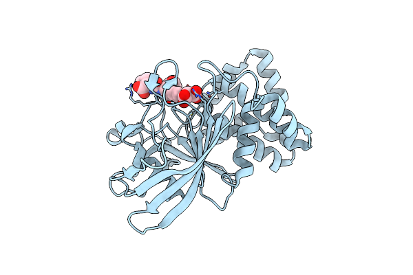 1G7F image