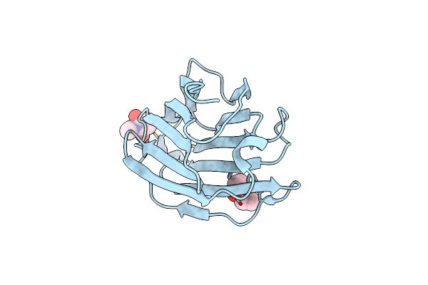 1G86 image