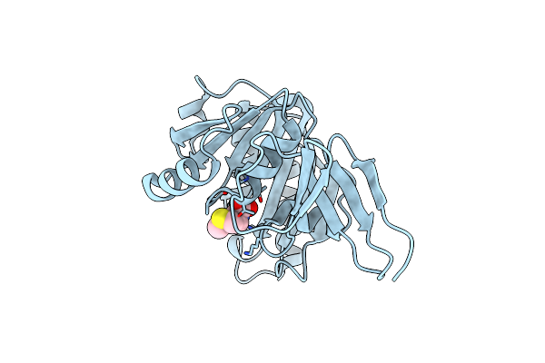 1G8S image
