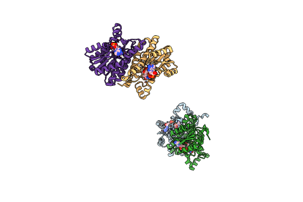 1GCO image