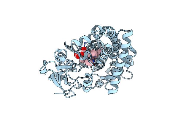 1GEI image