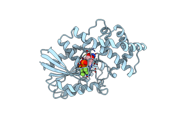 1GFI image