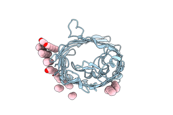 1GFP image