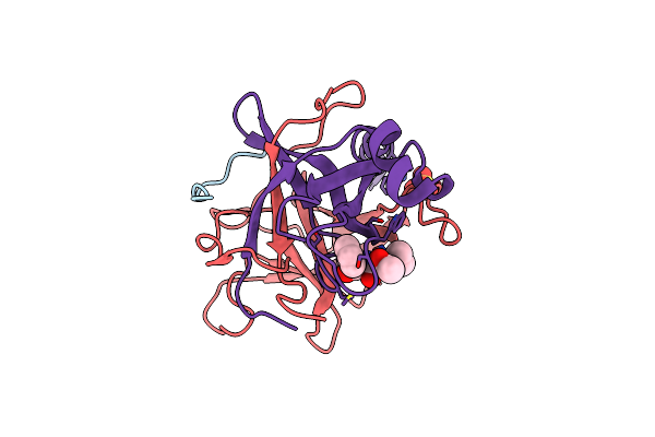 1GGD image
