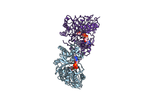 1GLL image