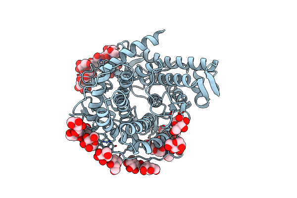 1GLM image