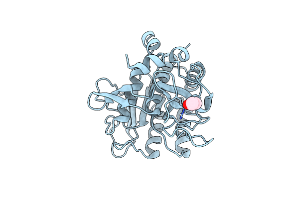 1GNS image