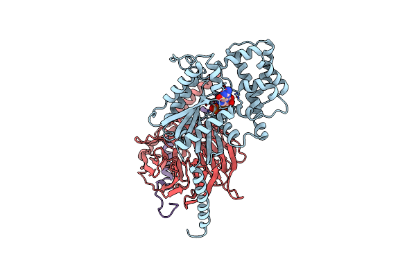 1GP2 image