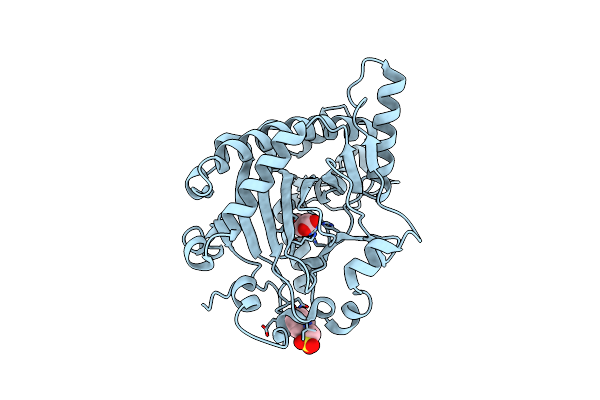 1GP4 image