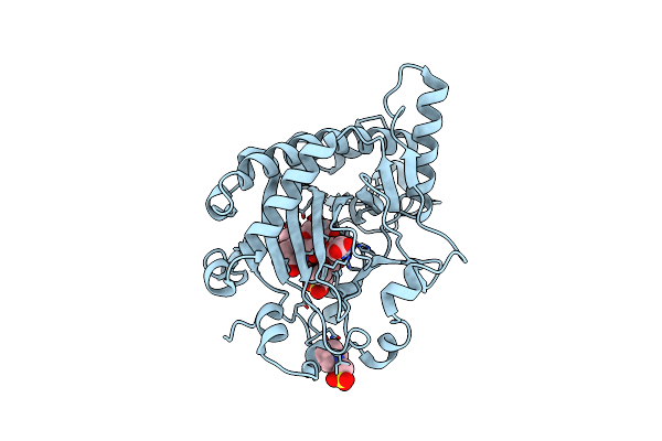1GP5 image