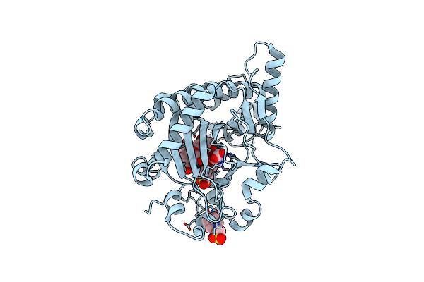 1GP6 image