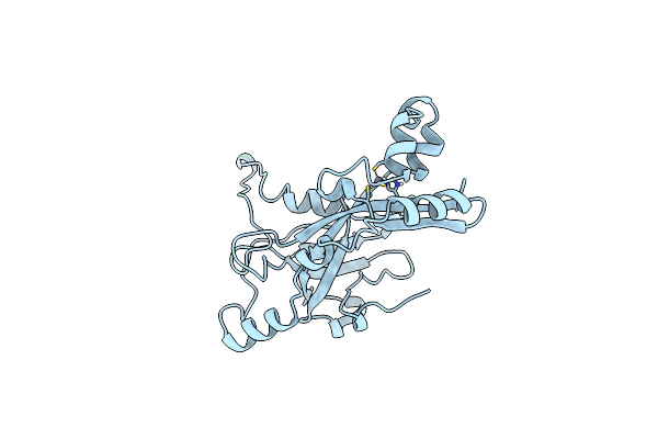 1GPC image