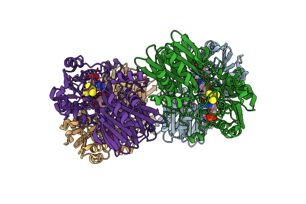1GPH image