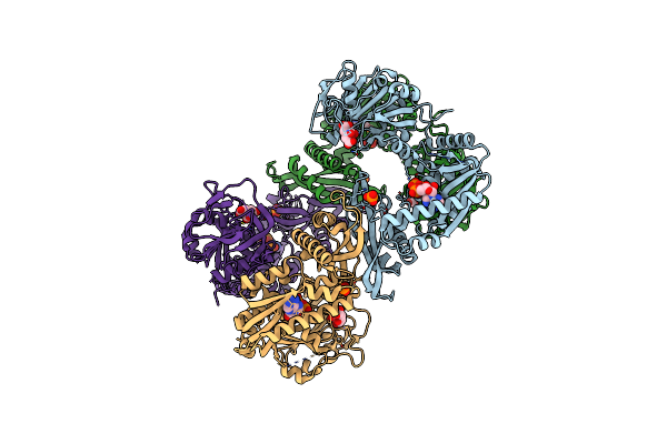 1GPM image