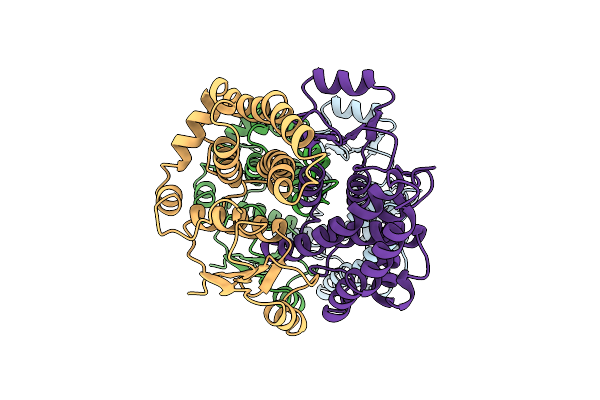 1GSD image