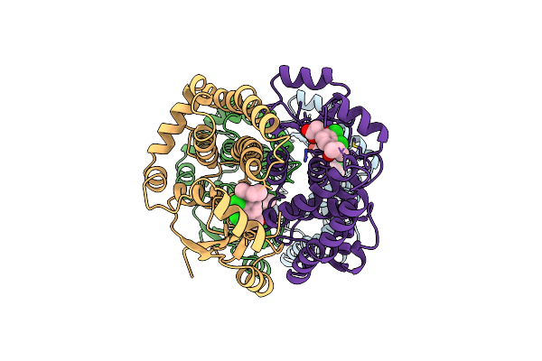 1GSF image