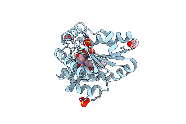 1GSI image