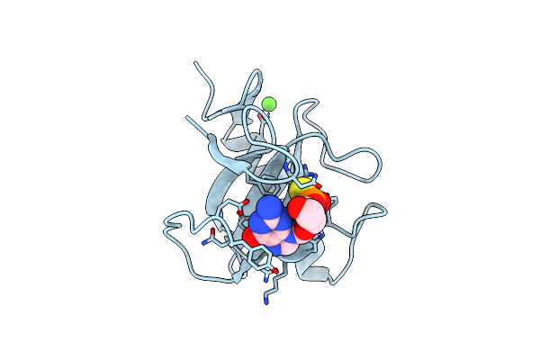 1GSP image