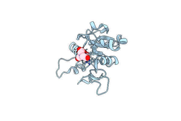 1GVC image