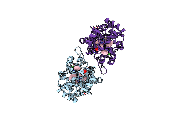 1GX2 image