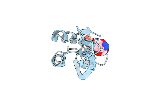 1GXT image
