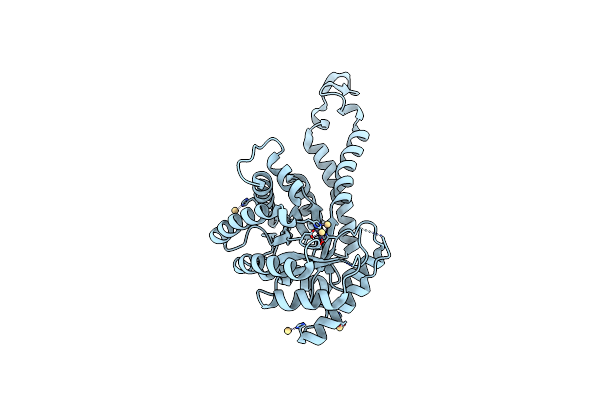1GYN image