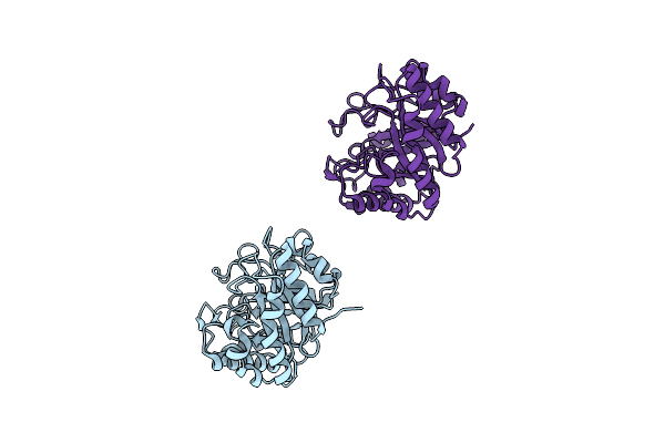 1H1N image
