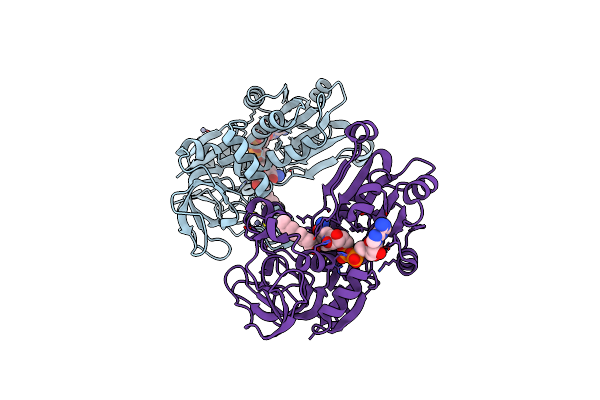 1H2B image