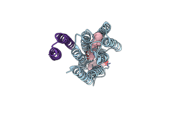 1H2S image
