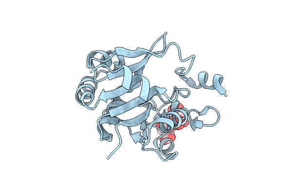 1H4C image