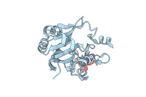 1H4D image