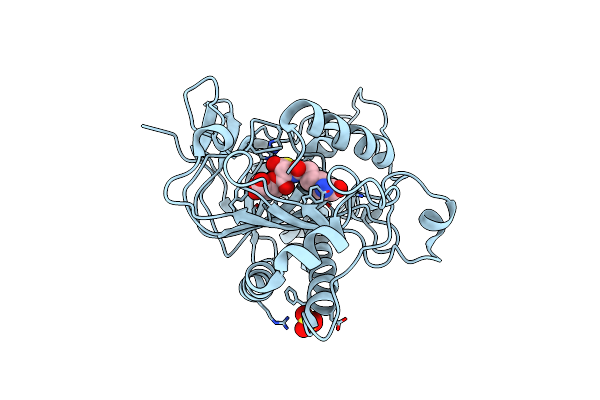 1HB2 image