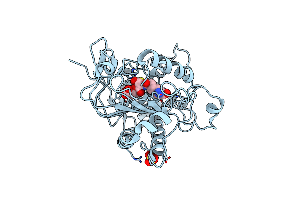 1HB4 image