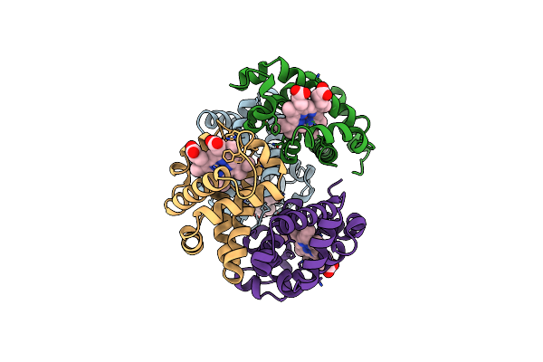 1HBR image