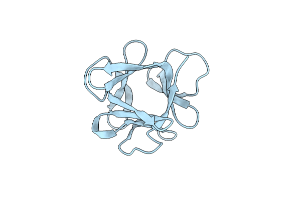 1HCE image