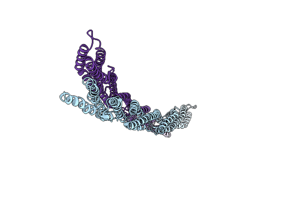 1HCI image