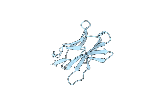 1HCV image