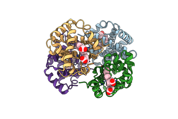 1HDA image