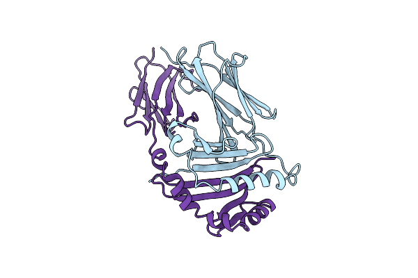 1HDM image