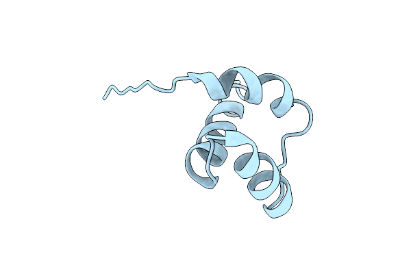 1HDP image