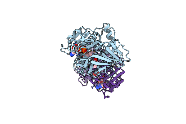 1HDX image