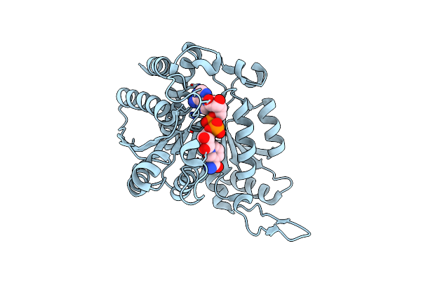 1HEX image