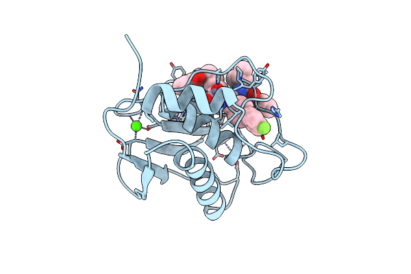1HFS image