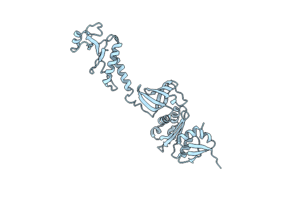 1HH2 image